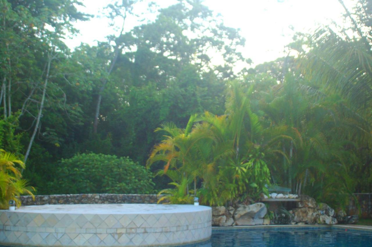Axkan Palenque, Shows En Vivo & Gastronomia Mar Y Tierra & Travel Agency Εξωτερικό φωτογραφία